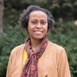 Image of Trina Williams Shanks, PhD, MSW, MPh
